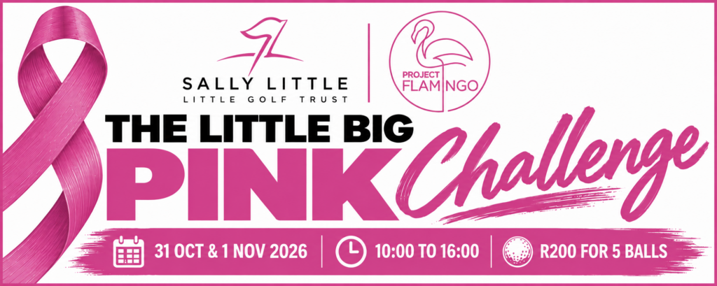 The Little Big Pink Challenge